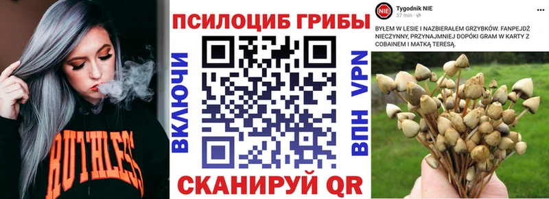 Галлюциногенные грибы GOLDEN TEACHER  Купить где  Северобайкальск 