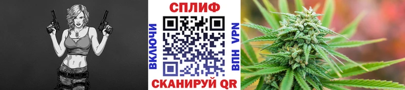 Купить  Северобайкальск  Каннабис ГИДРОПОН 